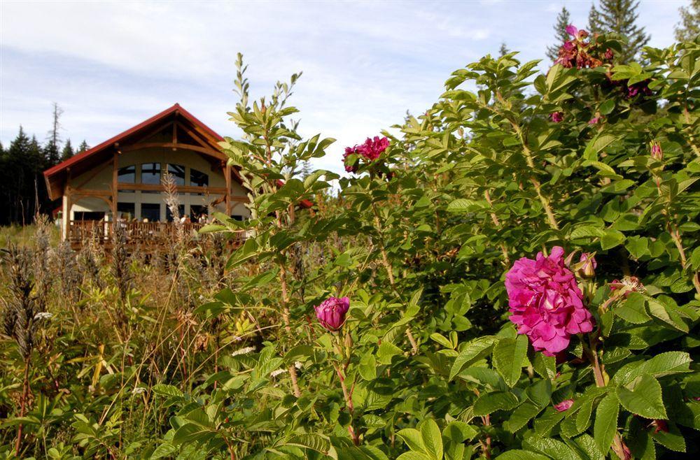 Heather Mountain Lodge Rogers Pass Kültér fotó